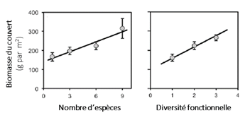 Lien entre biomasse produite par le couvert, richesse spécifique et diversité fonctionnelle ([Florence et al. 2016](https://www.researchgate.net/publication/302564107_Cover_Crop_Mixture_Diversity_and_Function){target='_blank'})
